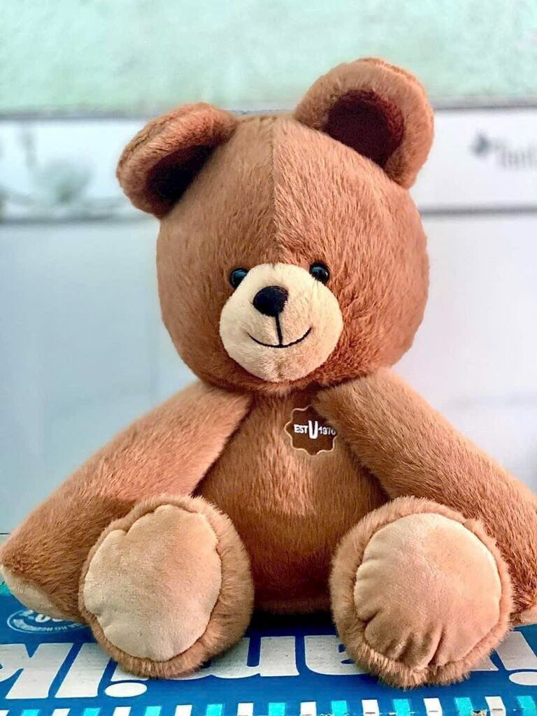 gấu Teddy 32cm  - Ảnh 2