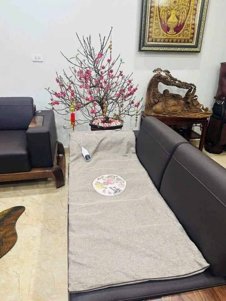 THẢM ĐIỆN NGẢI CỨU ĐÔNG Y