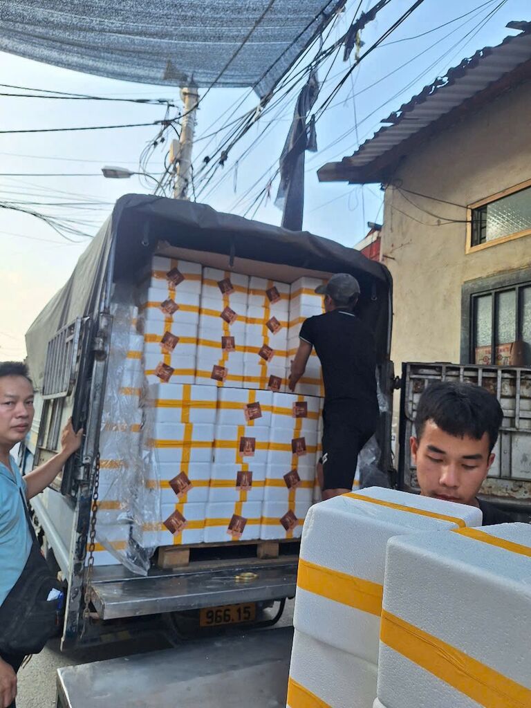 Bình hươu kệ gỗ 3,5l - Ảnh 5