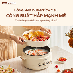 (GIÁ ĐỘC QUYỀN) Nồi lẩu Oidire 4L ODI07A