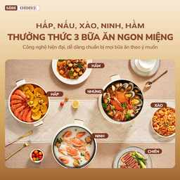(GIÁ ĐỘC QUYỀN) Nồi lẩu Oidire 4L ODI07A