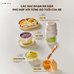 Máy xay thịt Bear 0.3L CH-4H02S