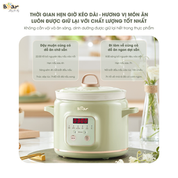 Nồi nấu chậm 2.0L Bear SB-NNC20
