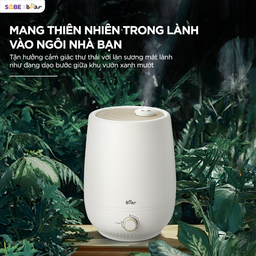 (SẴN KHO) Máy tạo độ ẩm Bear 5L HU-5H50T17