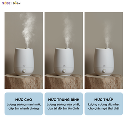 (SẴN KHO) Máy tạo độ ẩm Bear 5L HU-5H50T17