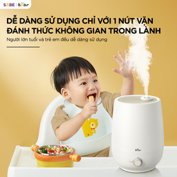 (SẴN KHO) Máy tạo độ ẩm Bear 5L HU-5H50T17