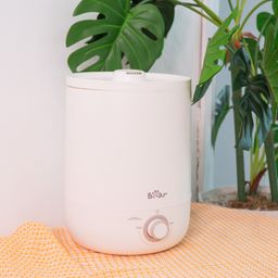 Máy tạo độ ẩm Bear JSQ-C45U1 - White