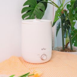 Máy tạo độ ẩm Bear JSQ-C45U1 - White