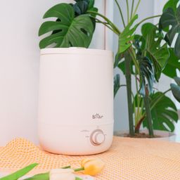 Máy tạo độ ẩm Bear JSQ-C45U1 - White