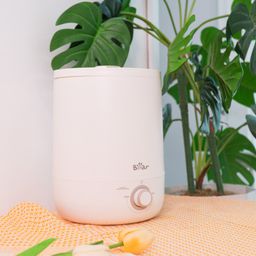 Máy tạo độ ẩm Bear JSQ-C45U1 - White