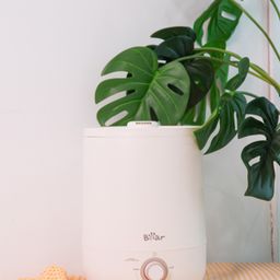 Máy tạo độ ẩm Bear JSQ-C45U1 - White