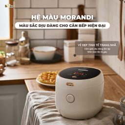 Nồi cơm điện Bear SB-NC30B