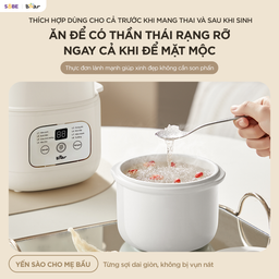 Nồi nấu chậm 0.8L Bear EST-085DH