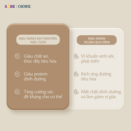 Máy làm sữa hạt Oidire 1.2l ODI04A