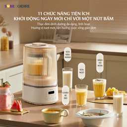 Máy làm sữa hạt Oidire 1.2l ODI04A