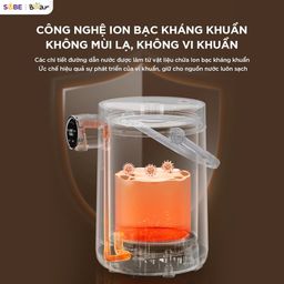 Bình Thủy Điện Bear 3L Đun Sôi Siêu Nhanh Khử Clo Bình Đun Nước Giữ Nhiệt EWB-…