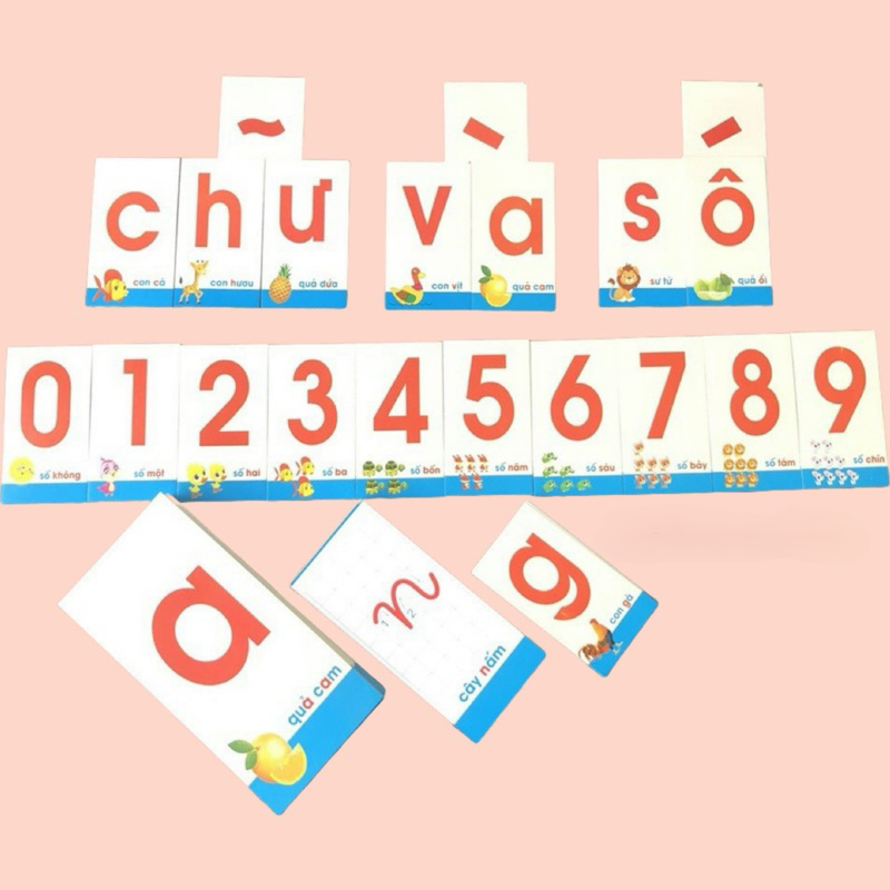 Bộ thẻ học Thông Minh nhận biết Chữ cái và Số - 40 thẻ - 3 kích thước - dành cho cô và trò