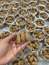 Nụ trầm xông nhà (hủ 36 nụ)
