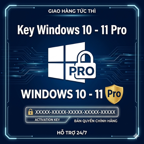 Key Windows 10/11 Pro