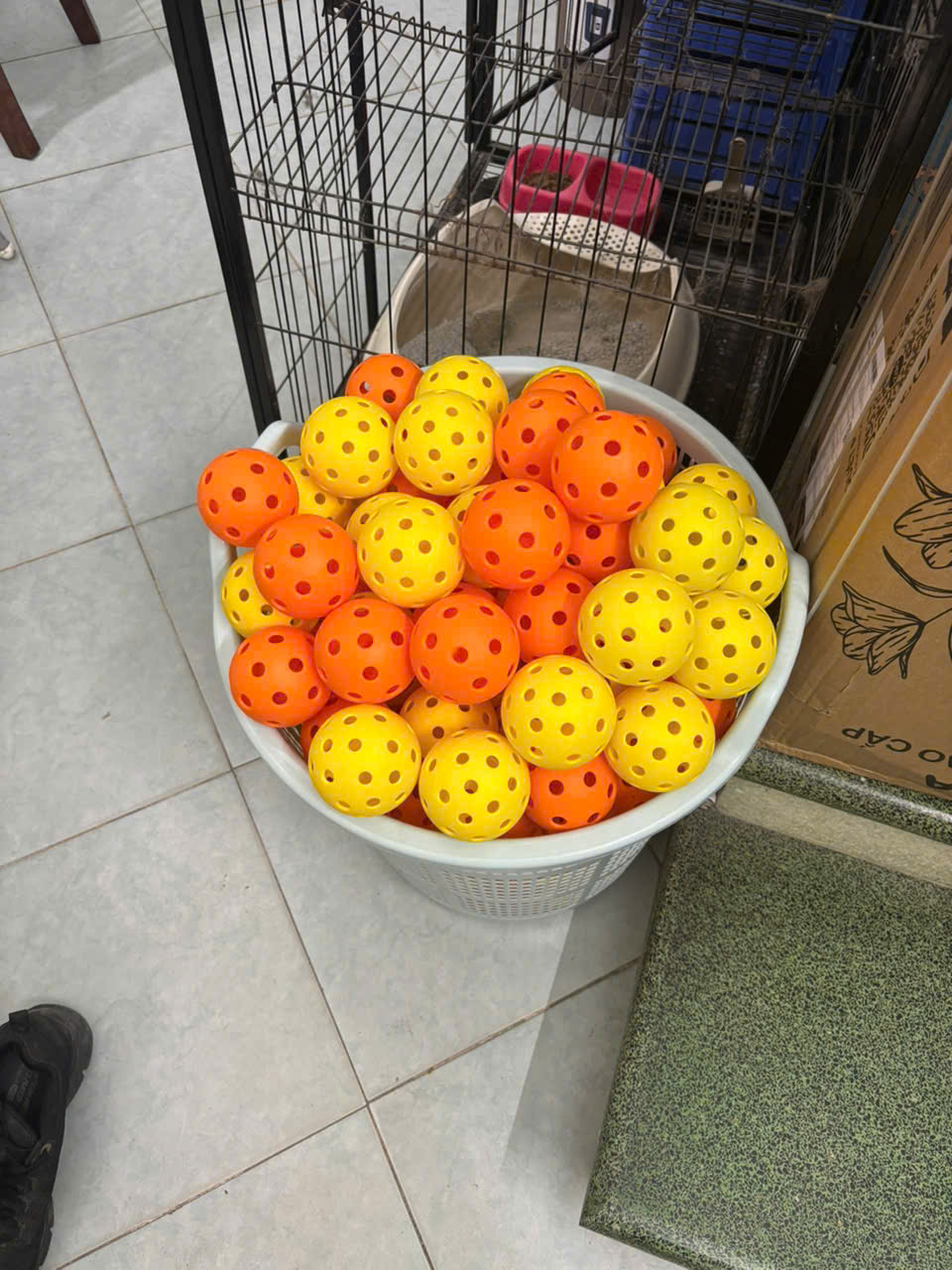 Bóng tập pickleball