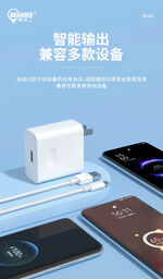 Bộ sạc 200w chân Type C TZ - 03