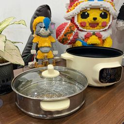 NỒI ĐIỆN 2 TẦNG ĐA NĂNG SANDE 22CM