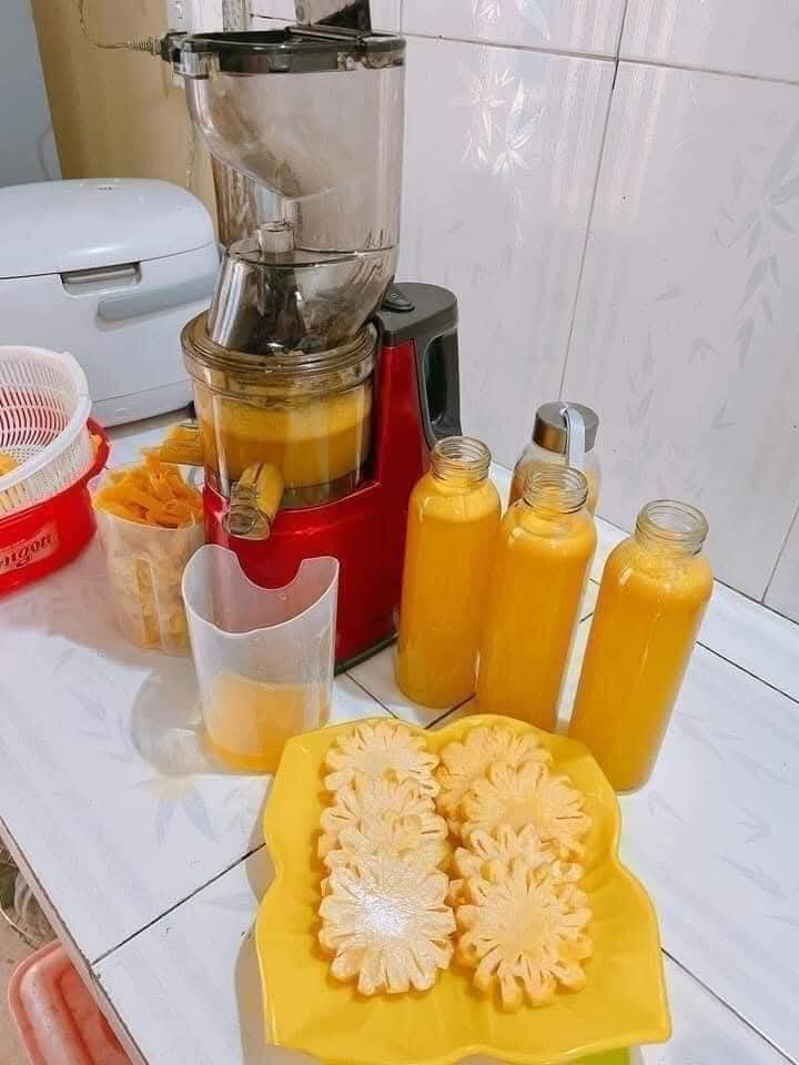 Máy ép chậm nineshield f8b  - Ảnh 5