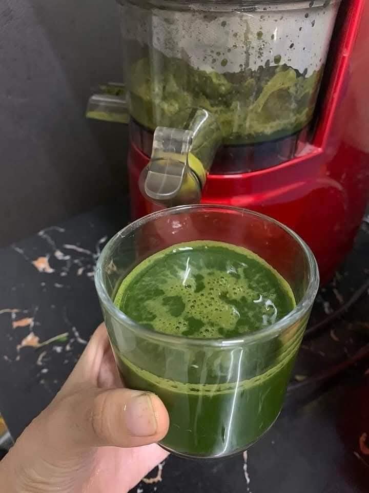 Máy ép chậm nineshield f8b  - Ảnh 4