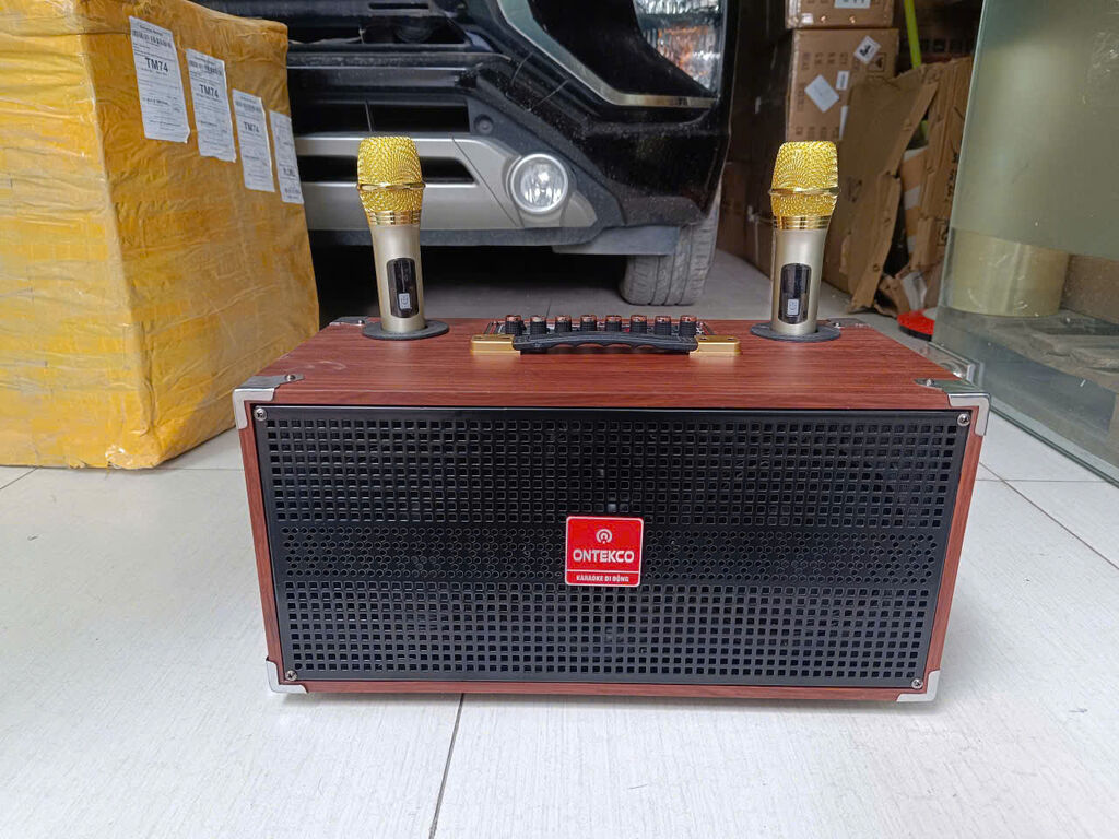 Loa hát karaoke xách tay chính hãng ontekco - Ảnh 3