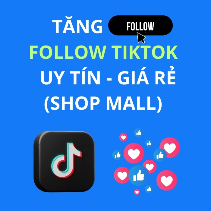 TĂNG FOLLOW TIKTOK   UY TÍN - GIÁ RẺ (SHOP MALL)