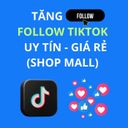TĂNG FOLLOW TIKTOK   UY TÍN - GIÁ RẺ (SHOP MALL)  - Ảnh 2