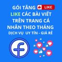 🎯 GÓI VIP LIKE FACEBOOK THEO THÁNG (30 ngày) – UY TÍN – GIÁ RẺ (SHOP MALL) 🎯 - Ảnh 7