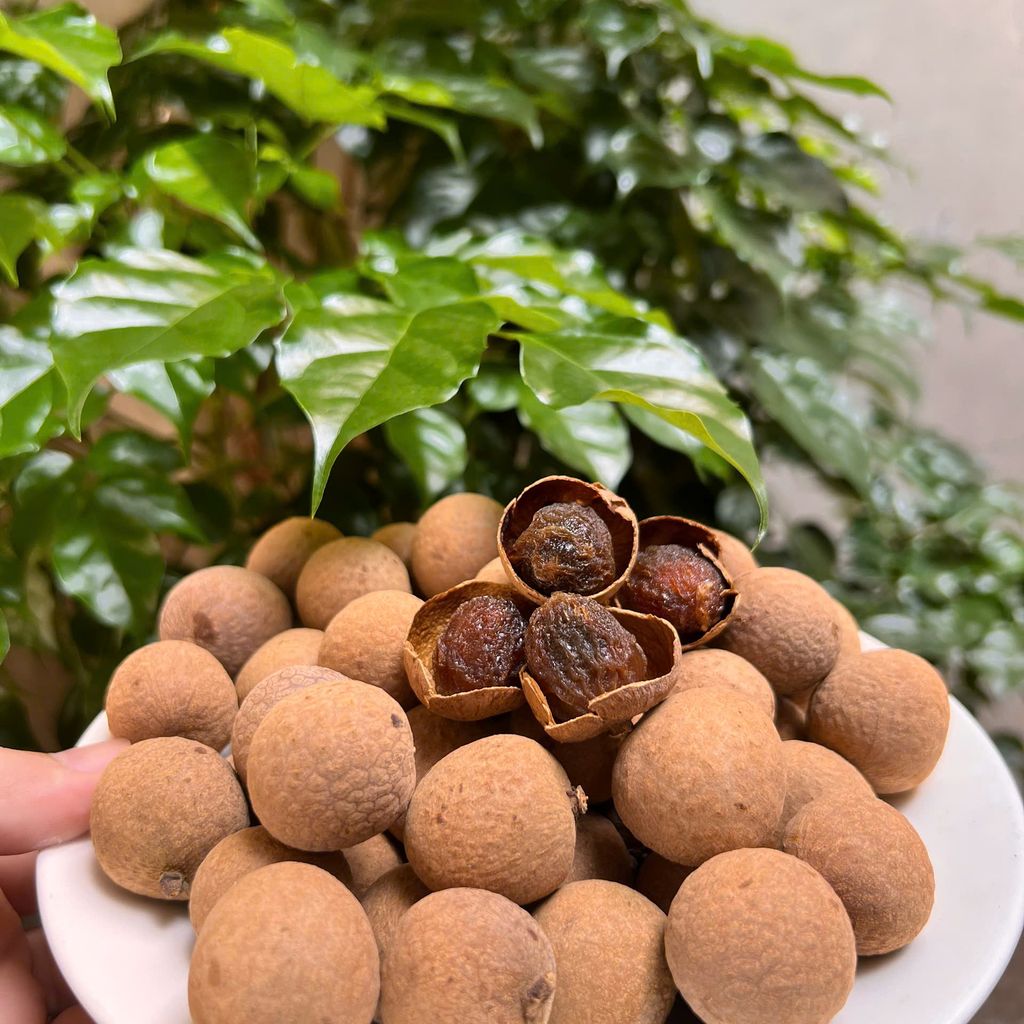 NHÃN SẤY KHÔ NGUYÊN QUẢ - Ảnh 2
