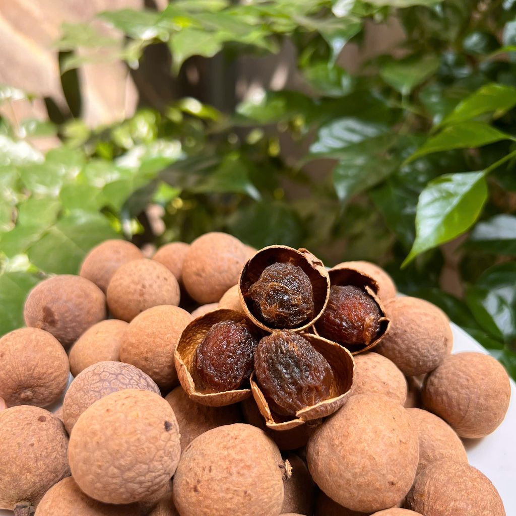 NHÃN SẤY KHÔ NGUYÊN QUẢ - Ảnh 6