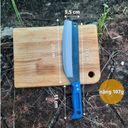 Dao thái nhỏ cắt thịt, thái hoa quả  cán nhựa Đa Sỹ - Ảnh 10