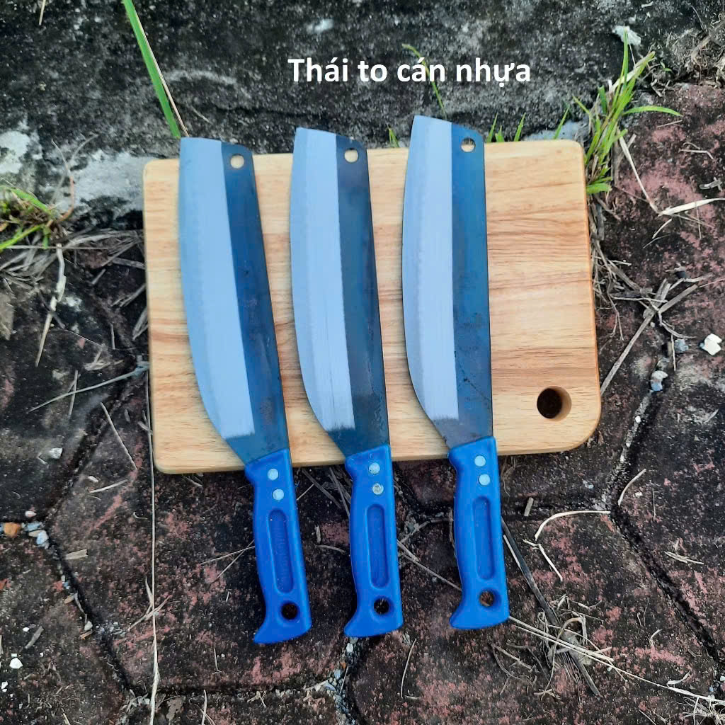 Dao thái nhỏ cắt thịt, thái hoa quả  cán nhựa Đa Sỹ - Ảnh 4