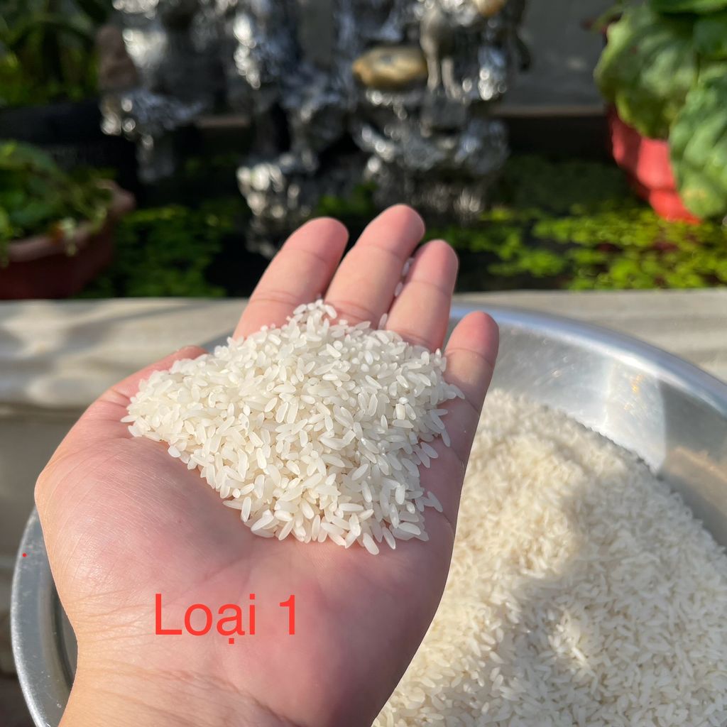 Gạo quê Bắc Thơm - Đài Thơm tự thu mua của bà con và xát tại nhà