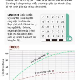 Đồ chơi giáo dục Zupp Focus Gen 1 phát triển não bộ, trí nhớ