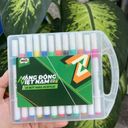 Bộ 12 màu milo - Ảnh 9