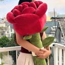 Hoa Hồng bông - Ảnh 4