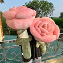 Hoa Hồng bông - Ảnh 5