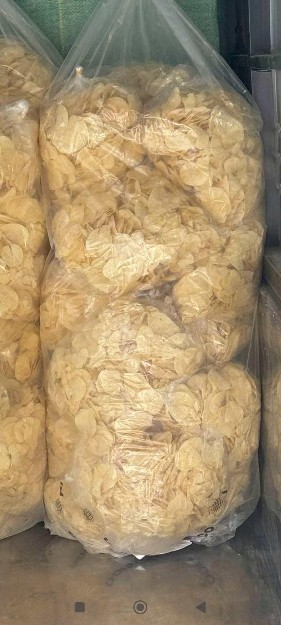 Bim bim nguyên cánh - Ảnh 5