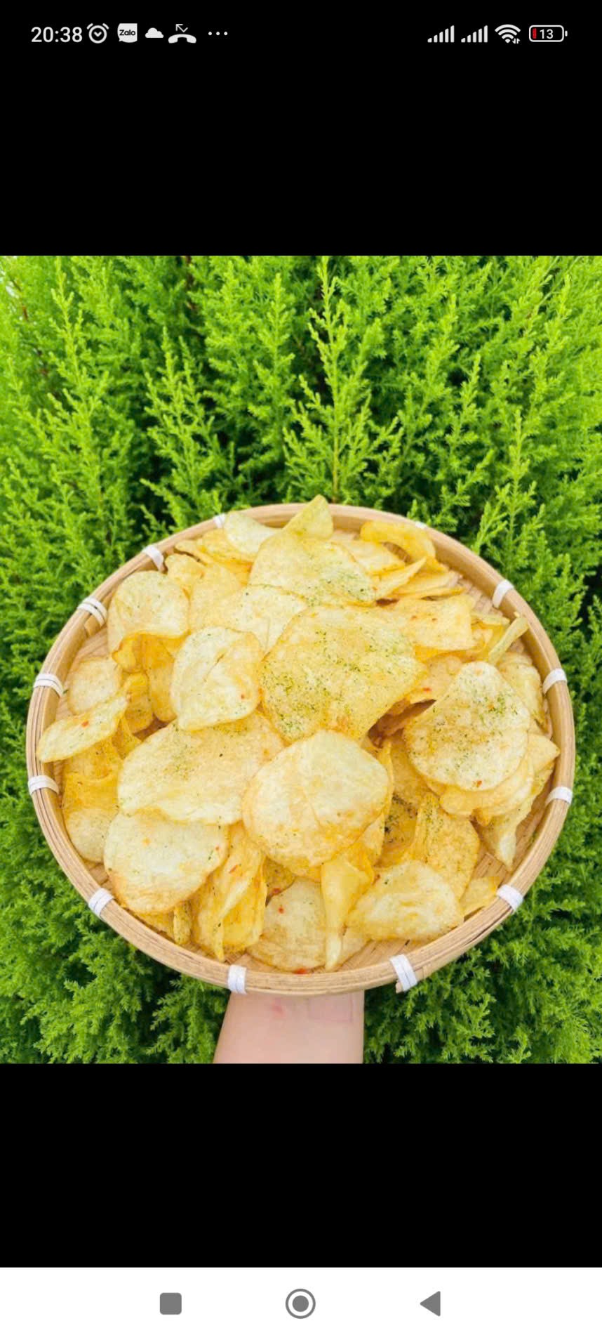 Bim bim nguyên cánh - Ảnh 2