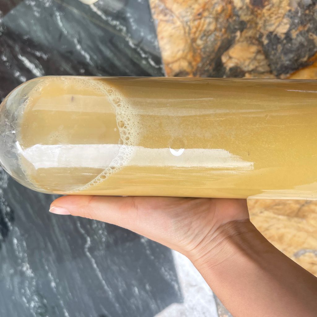 Nước cốt gừng 1L