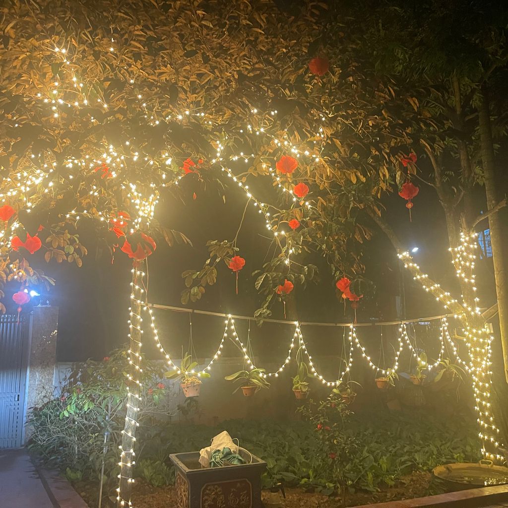 Trang trí nhà cửa