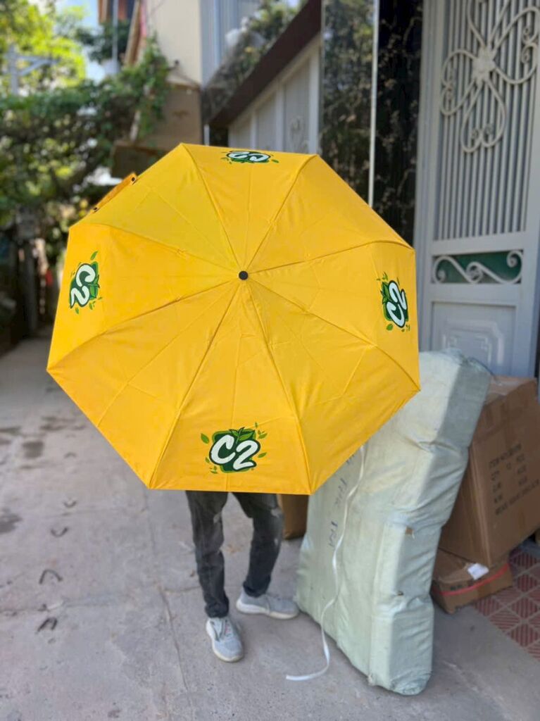 Ô tự bung C2