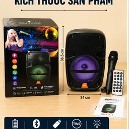 Loa Karaoke Di Động MAX-8-1 - Tặng Micro Có Dây Và Remote, LED RGB, Tích Pin,…