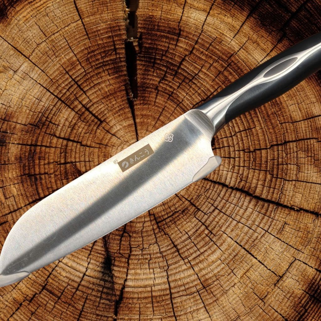 BỘ ĐÔI SIÊU PHẨM DESLON : Santoku & Chef