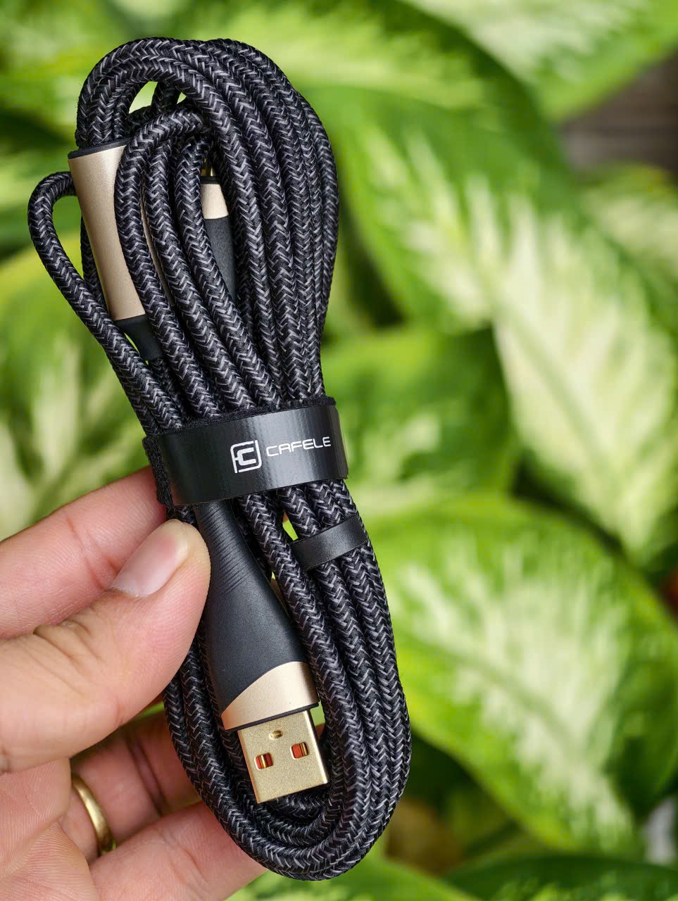 Cáp sạc Lisen C to C