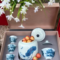 Bạch Trà Hoàng Long